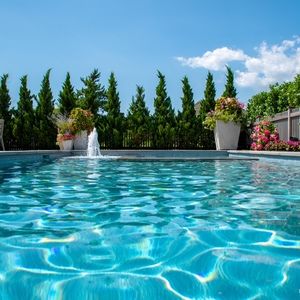 Meet your Posher, Bob